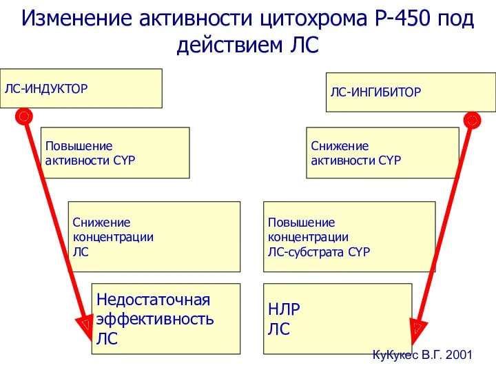 Изменение активности цитохрома Р-450 под действием ЛС ЛС-ИНДУКТОР ЛС-ИНГИБИТОР Повышение