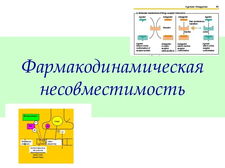 Фармакодинамическая несовместимость