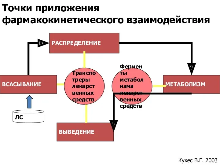 ВСАСЫВАНИЕ РАСПРЕДЕЛЕНИЕ МЕТАБОЛИЗМ ВЫВЕДЕНИЕ Транспотреры лекарственных средств Ферменты метаболизма лекарственных