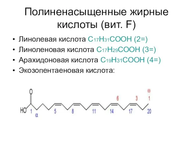 Полиненасыщенные жирные кислоты (вит. F) Линолевая кислота С17Н31СООН (2=) Линоленовая кислота С17Н29СООН (3=)