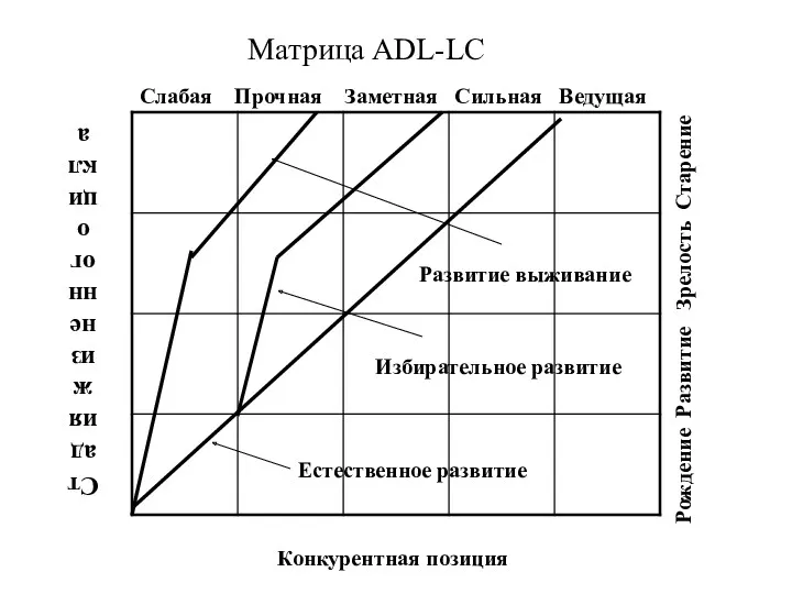 Матрица ADL-LC Конкурентная позиция Слабая Прочная Заметная Сильная Ведущая Стадия жизненного цикла Рождение
