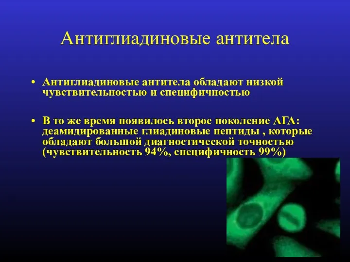 Антиглиадиновые антитела Антиглиадиновые антитела обладают низкой чувствительностью и специфичностью В