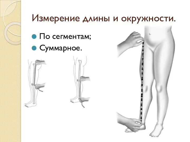 Измерение длины и окружности. По сегментам; Суммарное.