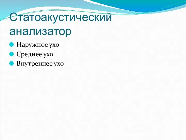 Статоакустический анализатор Наружное ухо Среднее ухо Внутреннее ухо