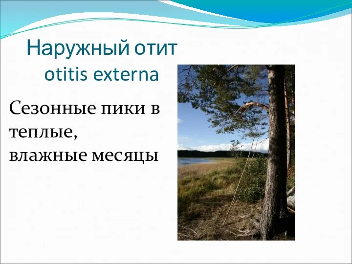 Наружный отит otitis externa Сезонные пики в теплые, влажные месяцы