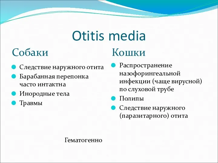 Otitis media Собаки Кошки Следствие наружного отита Барабанная перепонка часто