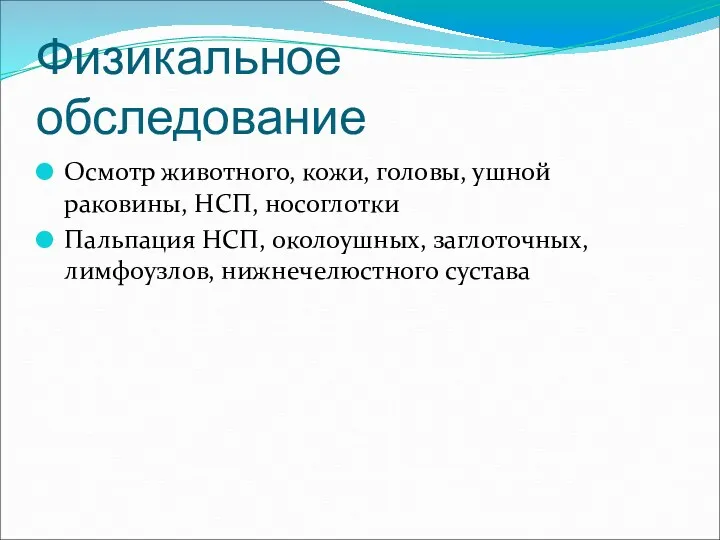 Физикальное обследование Осмотр животного, кожи, головы, ушной раковины, НСП, носоглотки