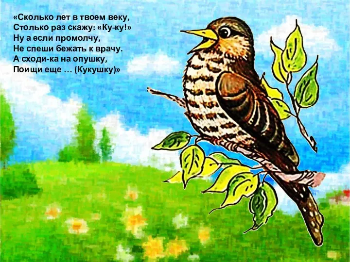 «Сколько лет в твоем веку, Столько раз скажу: «Ку-ку!» Ну