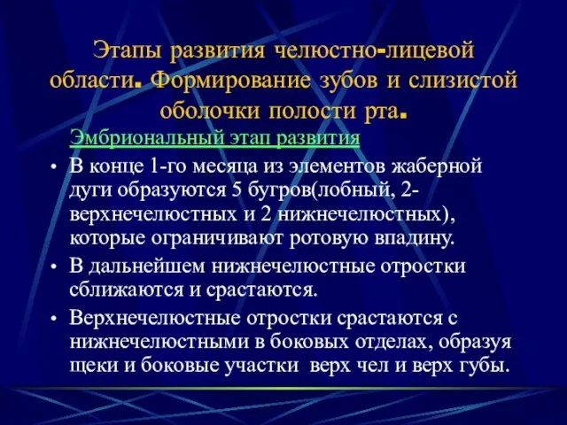 Этапы развития челюстно-лицевой области. Формирование зубов и слизистой оболочки полости