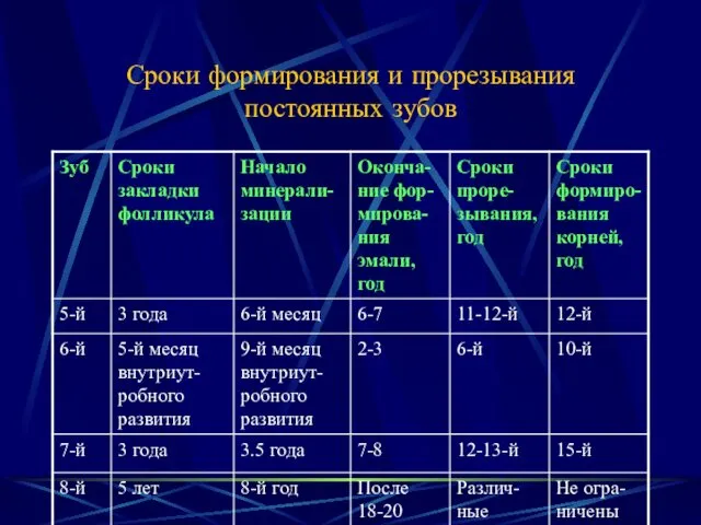 Сроки формирования и прорезывания постоянных зубов