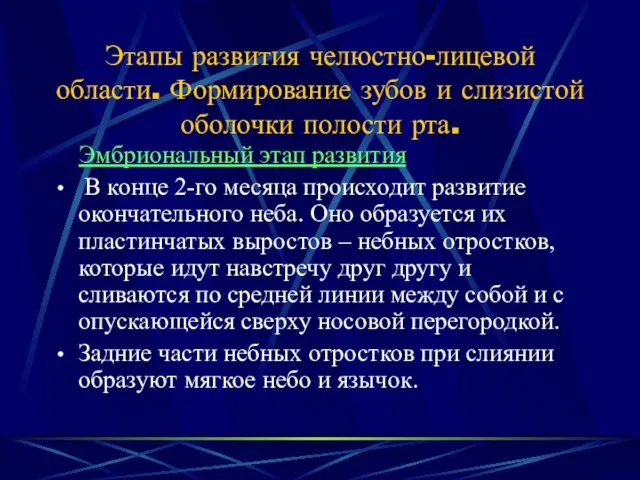 Этапы развития челюстно-лицевой области. Формирование зубов и слизистой оболочки полости