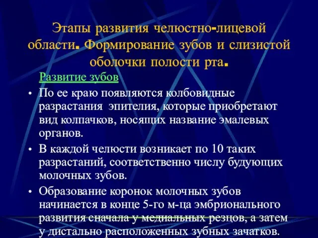 Этапы развития челюстно-лицевой области. Формирование зубов и слизистой оболочки полости