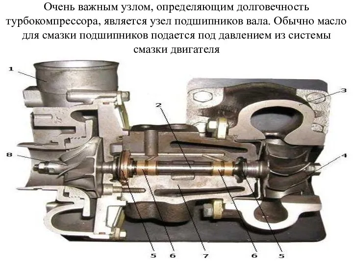 Очень важным узлом, определяющим долговечность турбокомпрессора, является узел подшипников вала.