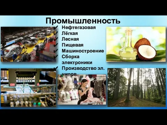 Промышленность Нефтегазовая Лёгкая Лесная Пищевая Машиностроение Сборка электроники Производство эл. чипов