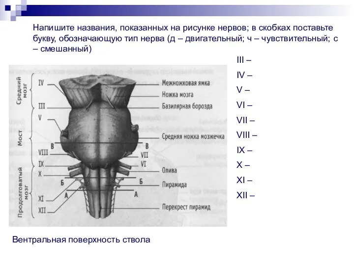 III – IV – V – VI – VII –