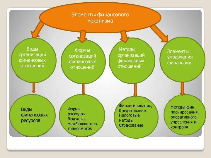 Элементы финансового механизма Виды организаций финансовых отношений Формы организаций финансовых