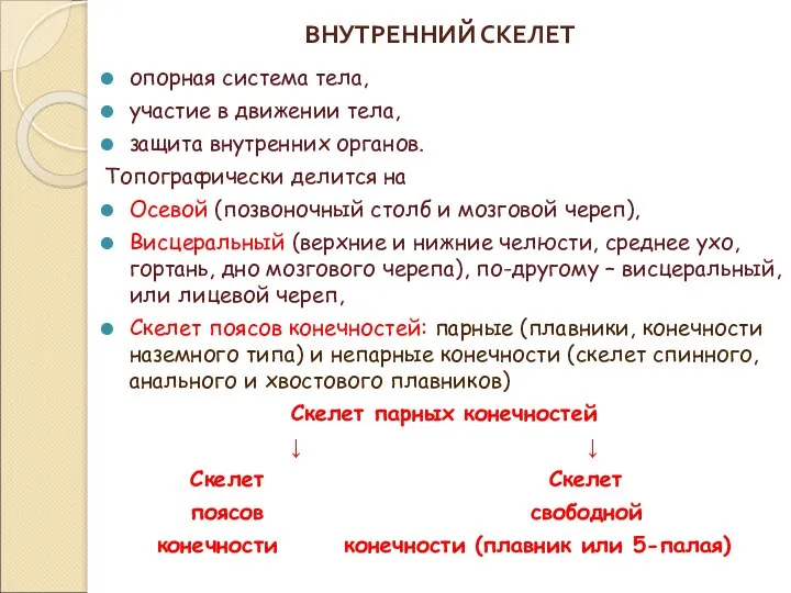 ВНУТРЕННИЙ СКЕЛЕТ опорная система тела, участие в движении тела, защита