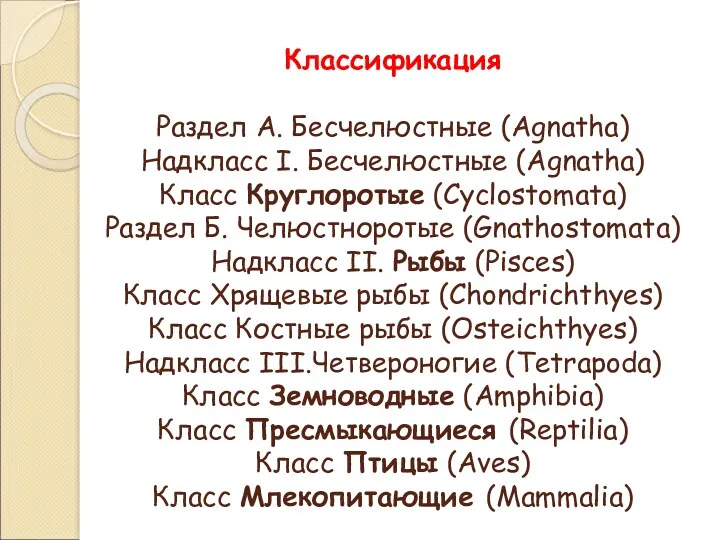 Классификация Раздел А. Бесчелюстные (Agnatha) Надкласс I. Бесчелюстные (Agnatha) Класс