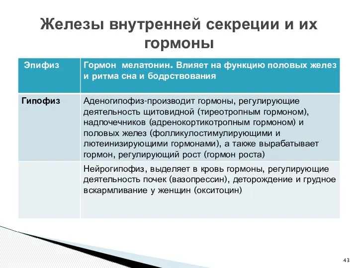 Железы внутренней секреции и их гормоны