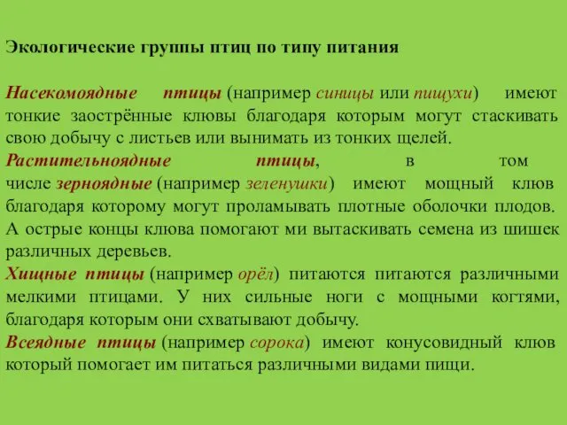 Экологические группы птиц по типу питания Насекомоядные птицы (например синицы