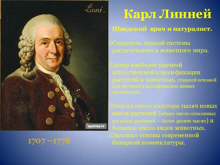 Карл Линней 1707 –1778 Шведский врач и натуралист. Создатель единой