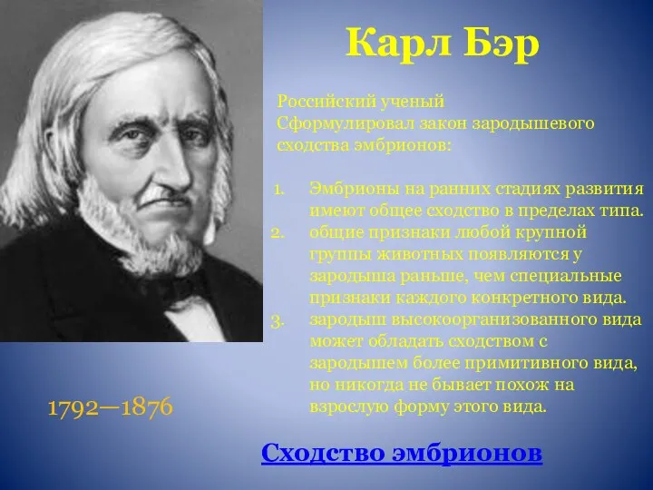 Карл Бэр 1792—1876 Российский ученый Сформулировал закон зародышевого сходства эмбрионов: