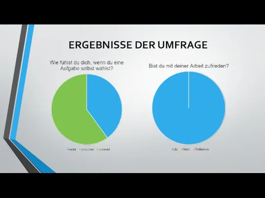 ERGEBNISSE DER UMFRAGE