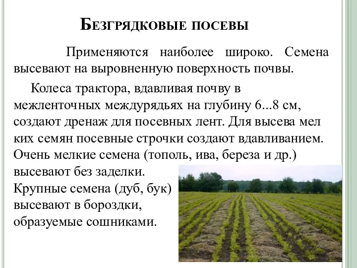 Безгрядковые посевы Применяются наиболее широко. Семена высевают на выровненную поверх­ность