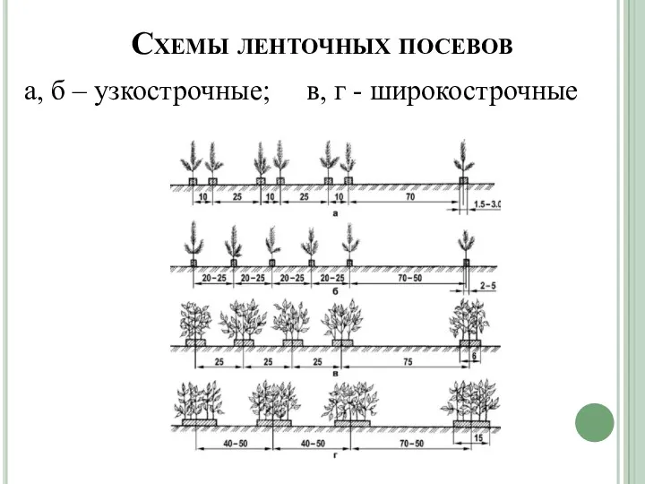 Схемы ленточных посевов а, б – узкострочные; в, г - широкострочные