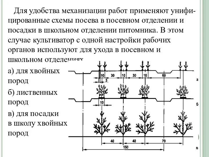 Для удобства механизации работ применяют унифи-цированные схе­мы посева в посевном