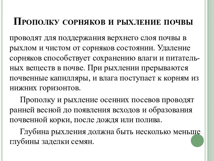 Прополку сорняков и рыхление почвы проводят для поддержания верхнего слоя