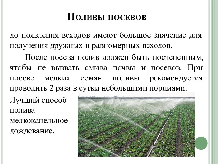 Поливы посевов до появления всходов имеют большое значение для получения