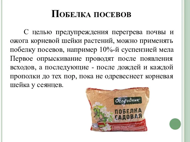 Побелка посевов С целью предупреждения перегрева почвы и ожога корневой