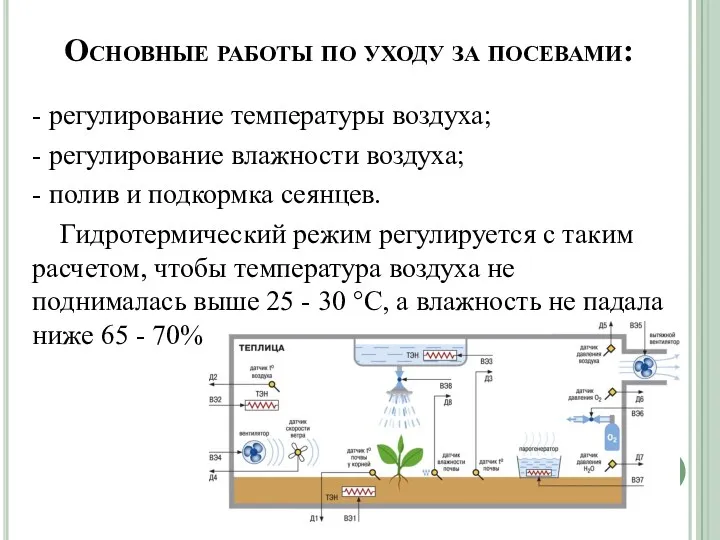 Основные работы по уходу за посевами: - регулирование температу­ры воздуха;