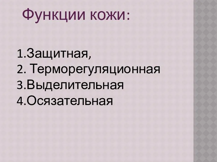 Функции кожи: 1.Защитная, 2. Терморегуляционная 3.Выделительная 4.Осязательная