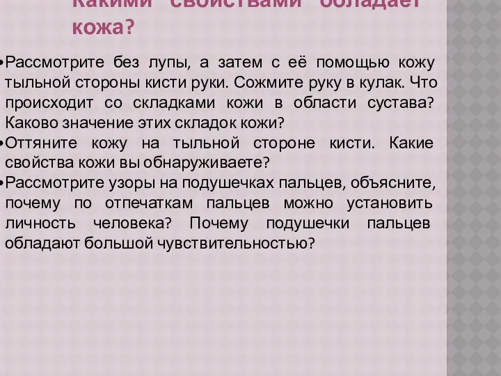 Какими свойствами обладает кожа? Рассмотрите без лупы, а затем с