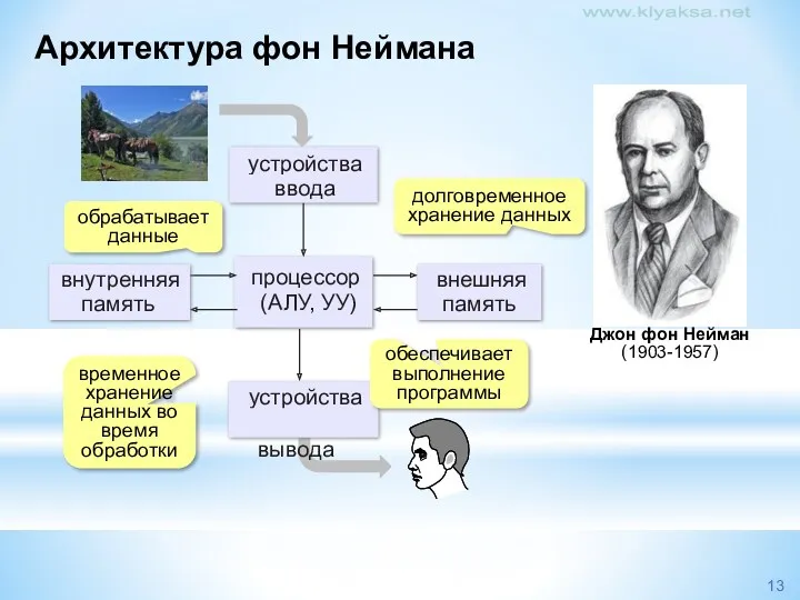 Архитектура фон Неймана обрабатывает данные обеспечивает выполнение программы временное хранение