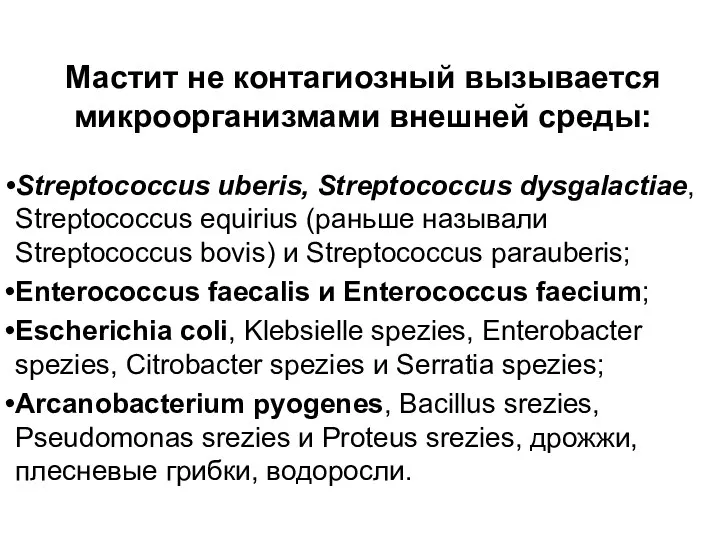 Мастит не контагиозный вызывается микроорганизмами внешней среды: Streptococcus uberis, Streptococcus dysgalactiae, Streptococcus equirius