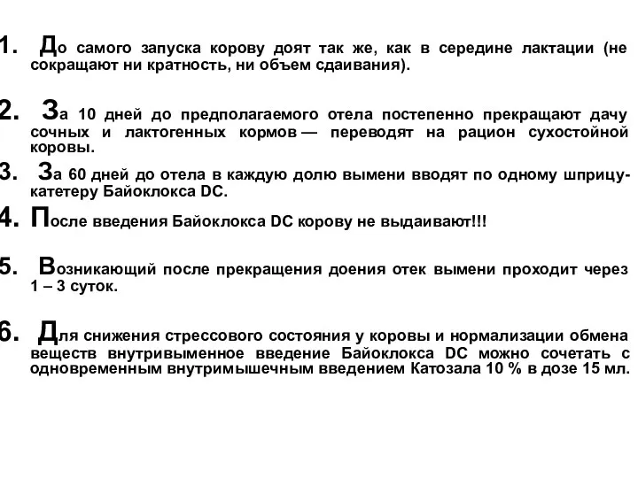 До самого запуска корову доят так же, как в середине лактации (не сокращают