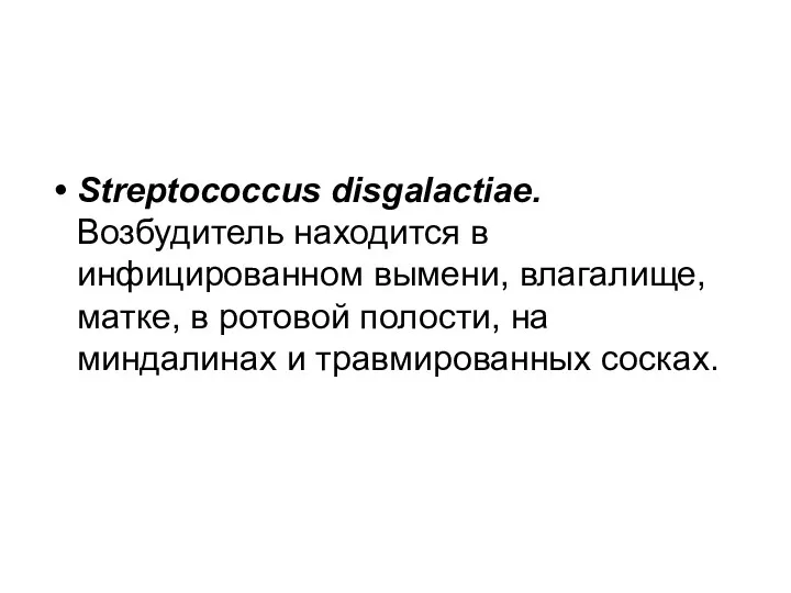 Streptococcus disgalactiae. Возбудитель находится в инфицированном вымени, влагалище, матке, в