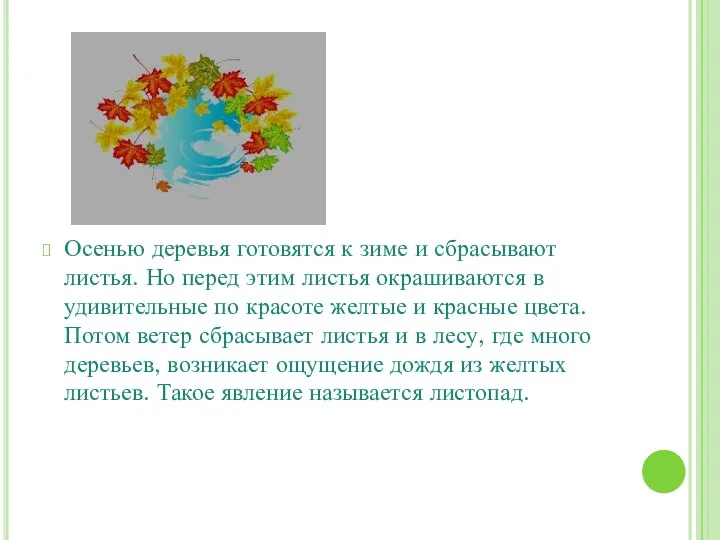 Листопад Осенью деревья готовятся к зиме и сбрасывают листья. Но