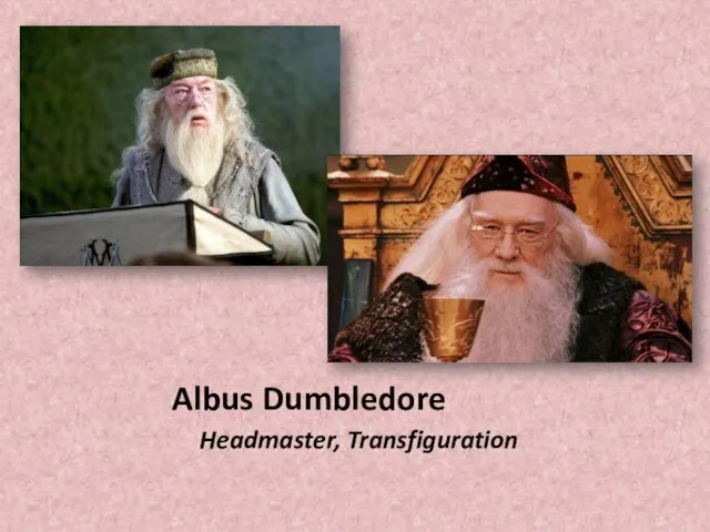 Albus Dumbledore Headmaster, Transfiguration