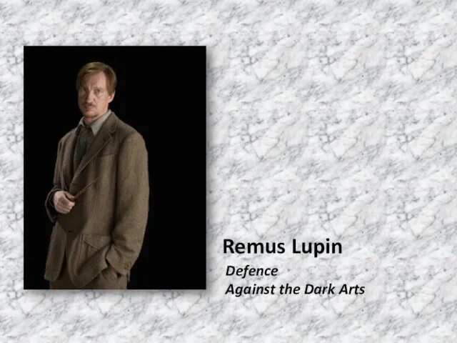 Remus Lupin Defence Against the Dark Arts