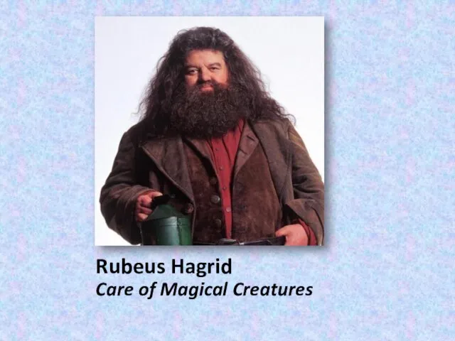 Rubeus Hagrid Care of Magical Creatures