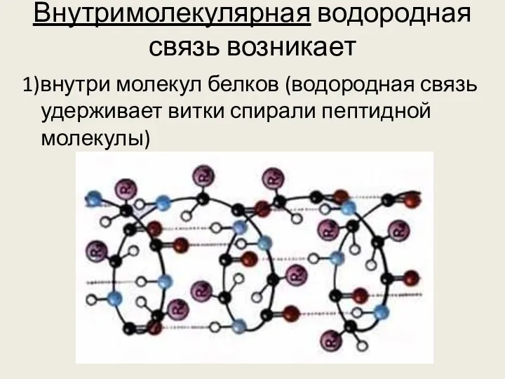 Внутримолекулярная водородная связь возникает 1)внутри молекул белков (водородная связь удерживает витки спирали пептидной молекулы)