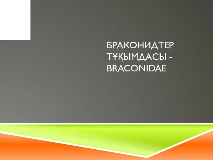 БРАКОНИДТЕР ТҰҚЫМДАСЫ - BRACONIDAE