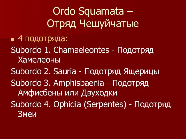 Ordo Squamata – Отряд Чешуйчатые 4 подотряда: Subordo 1. Chamaeleontes