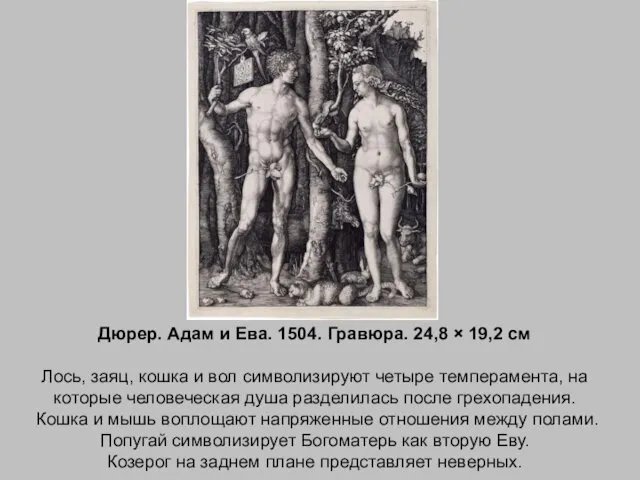 Дюрер. Адам и Ева. 1504. Гравюра. 24,8 × 19,2 см Лось, заяц, кошка