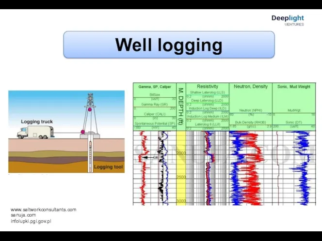 Well logging www.saltworkconsultants.com sanuja.com infolupki.pgi.gov.pl