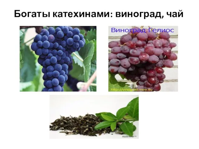 Богаты катехинами: виноград, чай